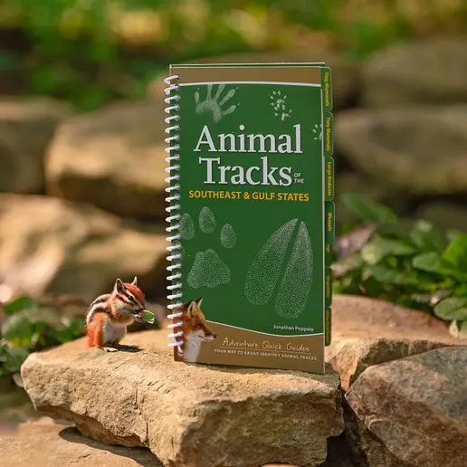 Animal Tracks of the Southeast & Gulf States
